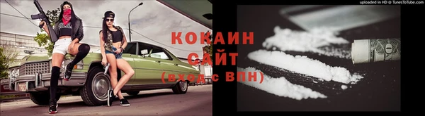 индика Арсеньев